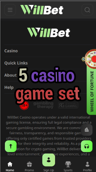5 Casino Game Set - Complete Home Casino Kit-casinoorder.vip